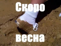 1897822_423813351054692_502316663_n.webp