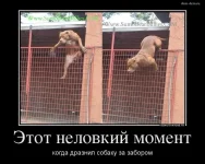 2597434_e2467a6b.webp