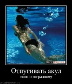 2606171_9d425146.webp
