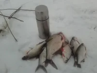 2014-02-12 13.41.29.webp