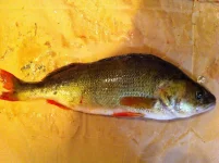 IMG_1773.webp