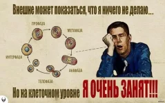 NO-7knZvDF8.webp