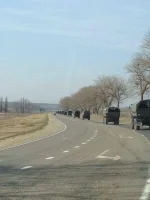 4658994.webp