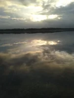 20140109_163135.webp