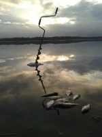 20140109_163208.webp