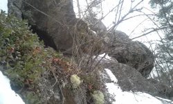 1393330948916.webp