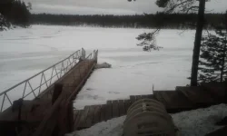 1393332123661.webp