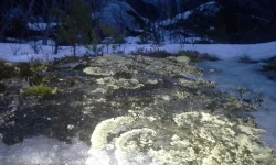 20140226_190952.webp
