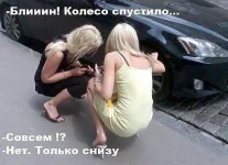 гнекваеку-Д.webp