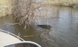 20140310_114900.webp