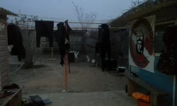 20140310_190227.webp