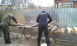 20140311_165741.webp