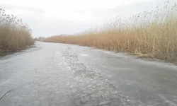 20140311_104142.webp