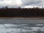 IMG-20140316-WA0000.jpg