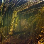 GOPR0305web.webp