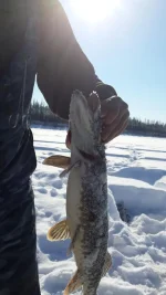 20140321_124103.webp