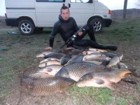 ispitaniya.webp