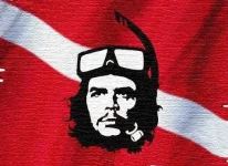 1344375309_555555 - копия.webp