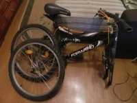 DSCN2500.webp