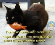 7приотлщшг-Д.webp