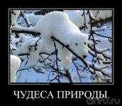lf3euh-Р.webp