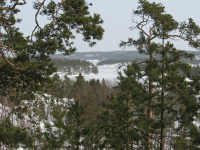 fouroutskirts100494494b.gif