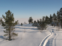 fouroutskirts100504504b.gif