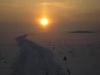 15403311fgbz71tmo0pt16.webp