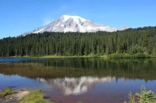 01.webp