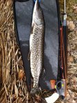 IMG-20140420-WA0001.jpg