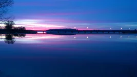 DSC_2021.webp