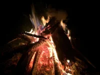 IMG_0160.webp