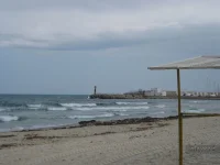 030613031426[1].webp