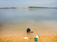 озерна.webp