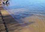IMAG0424.jpg