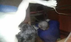 1398957513977.webp