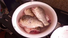 IMGP0414.webp