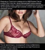 3180342.webp