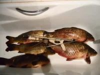 SAM_1327.webp SAM_1327.webp