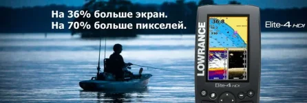 main.webp