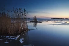 DSC00650web.webp