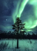03.webp