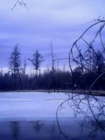 IMG0147A.webp