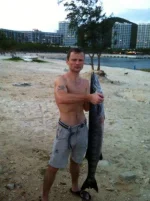 barracuda9.webp