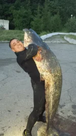 20140610_033826.webp