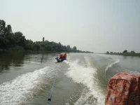 image (3).webp