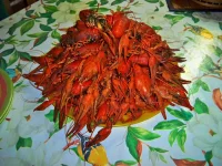 image.webp