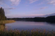 IMAG0262.webp