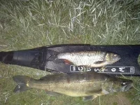 20140622_041513.webp