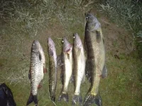 20140622_041410.webp